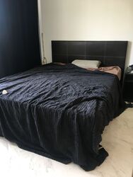 Spottiswoode 18 (D2), Apartment #308164861